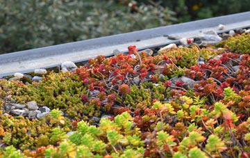 the cost of Fron Deg green roof installation