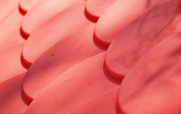 Fron Deg plastic roof costs