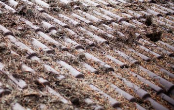 Fron Deg roof cleaning companies