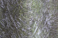 Fron Deg fibreglass roof work